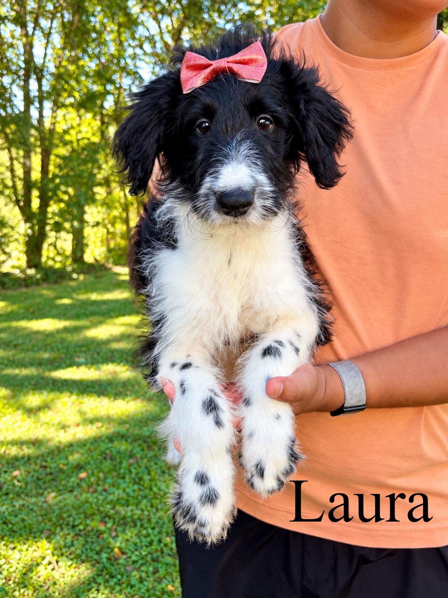 Laura 1